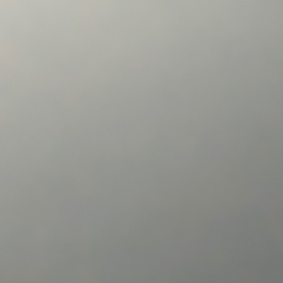 Meet your Posher, Piper - Picture 1 of 1